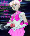 The Senshi of Love and Peach!!  edited by Priire (Asteroid)  (107631 bytes)